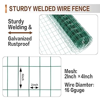 Amazon.com : Tongmo 2 ft x 100 ft Green PVC Coated Welded